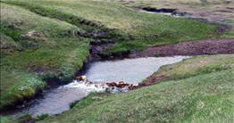 Klambragilslaug