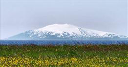 Snæfellsjökull