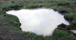 Sturlungalaug (Guðmunarlaug)