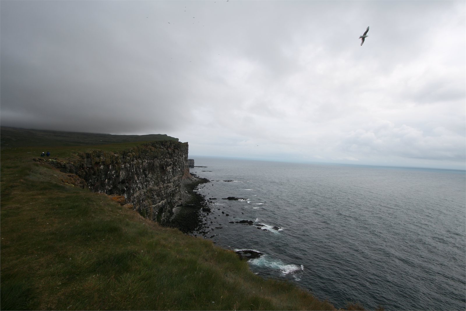 Látrabjarg á Vestfjörðum