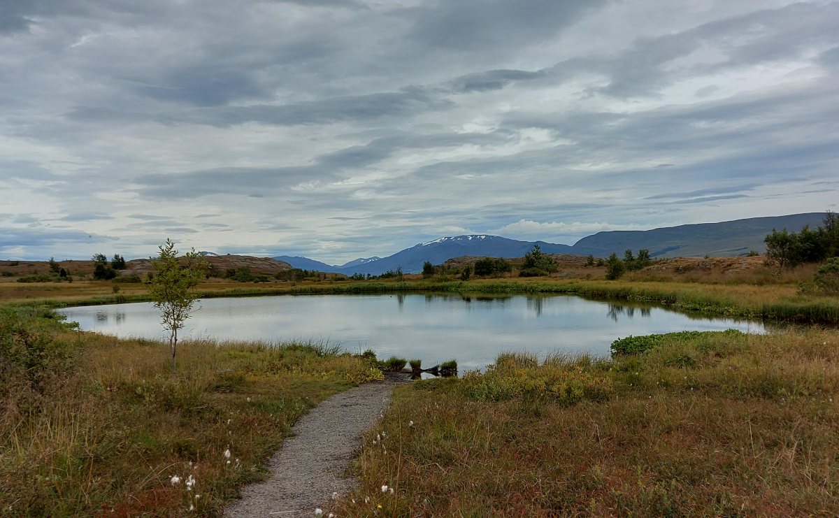 Hundatjörn í Krossanesborgum við Akureyri