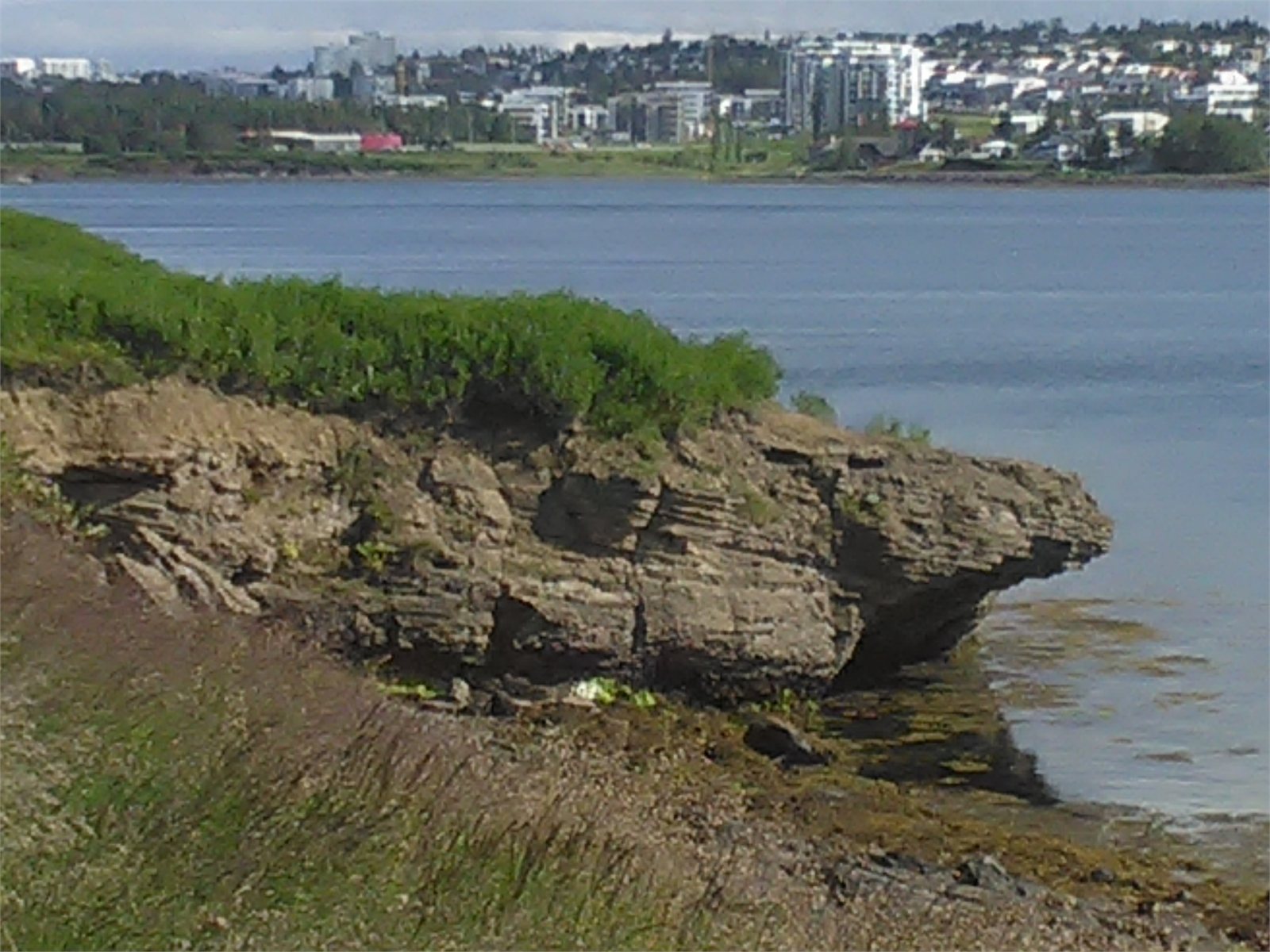 Fossvogur í Reykjavík við friðlýsta Fossvogsbakka