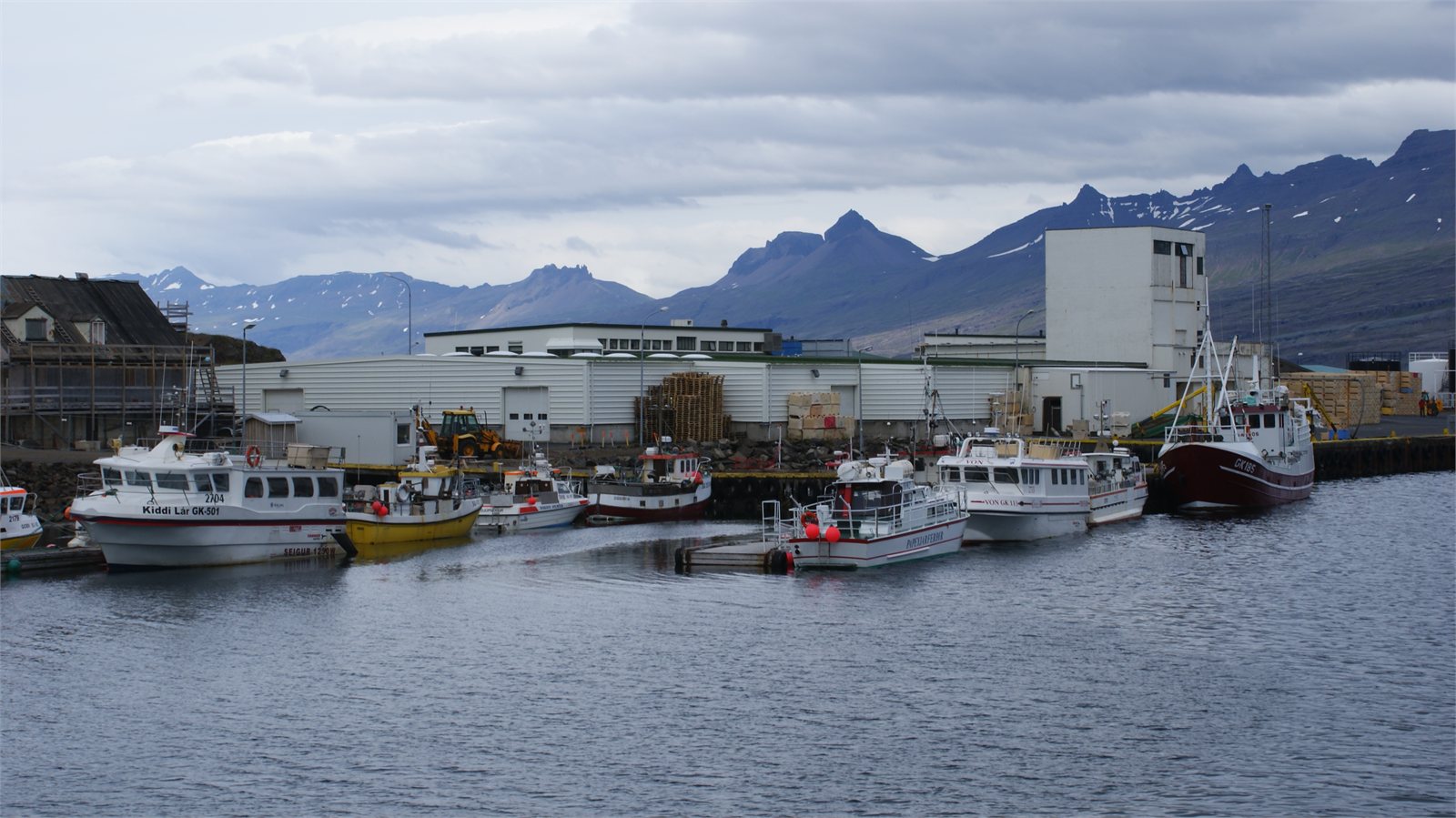 Djúpivogur og nágrenni tjaldsvæðisins