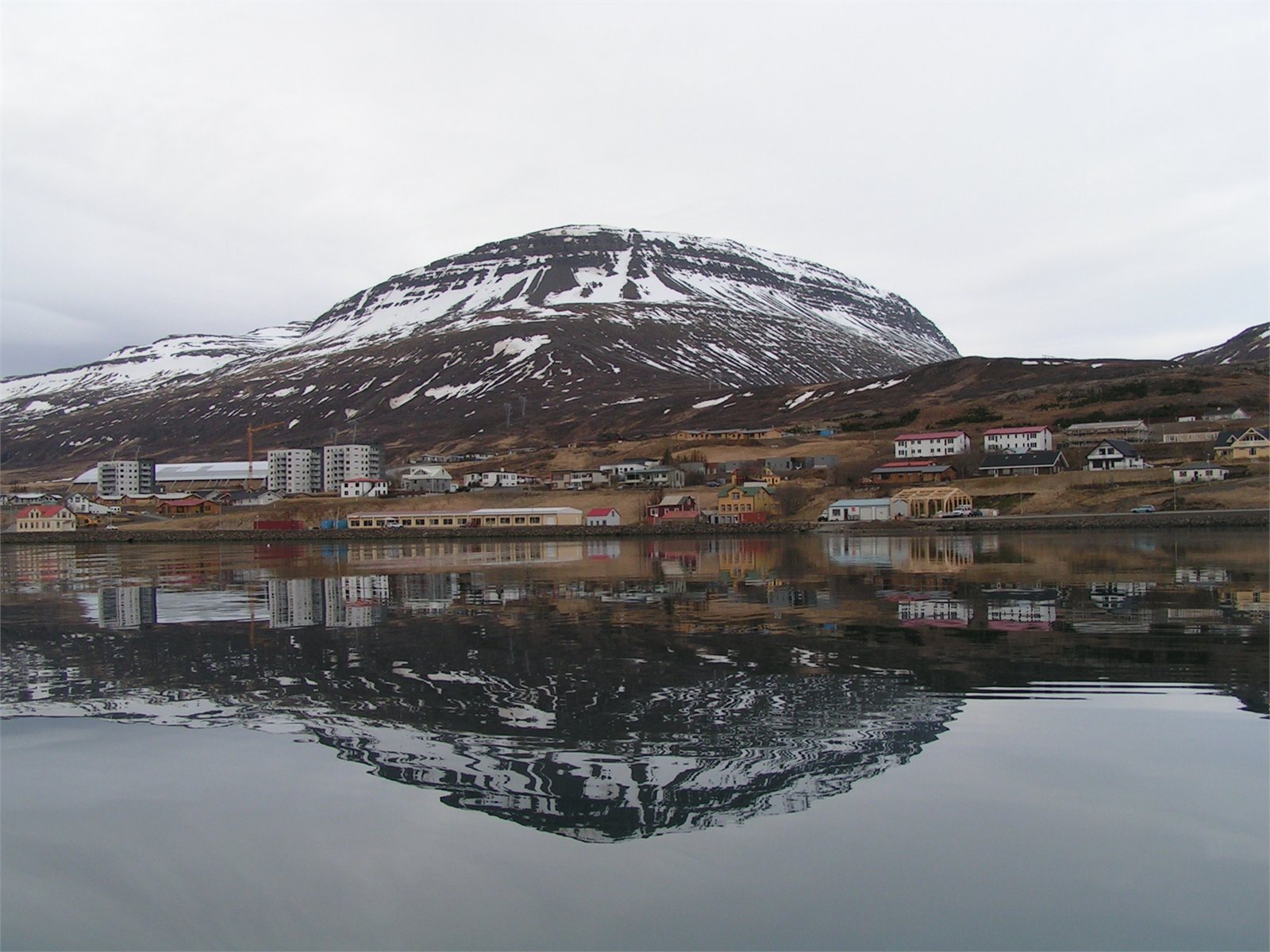 Reyðarfjörður og nágrenni tjaldsvæðisins
