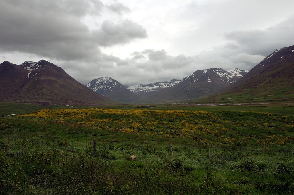 Hólar í Hjaltadal og nágrenni tjaldsvæðisins