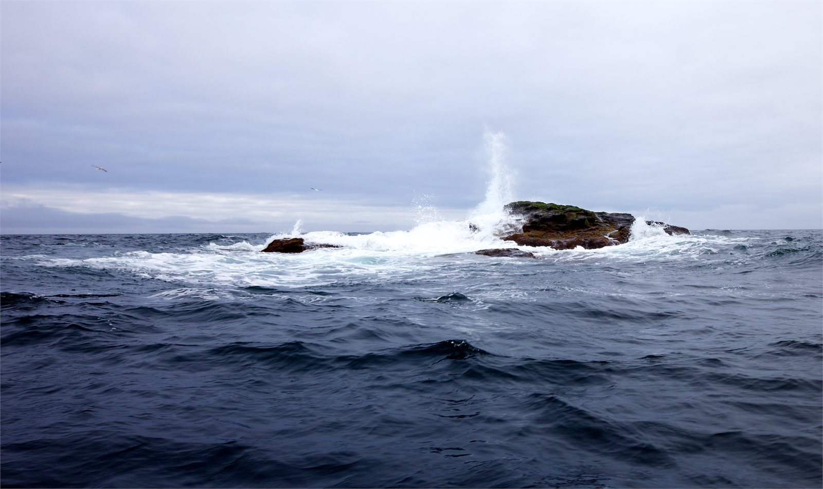 Kolbeinsey, nyrsti punktur Íslands, séð úr sjó