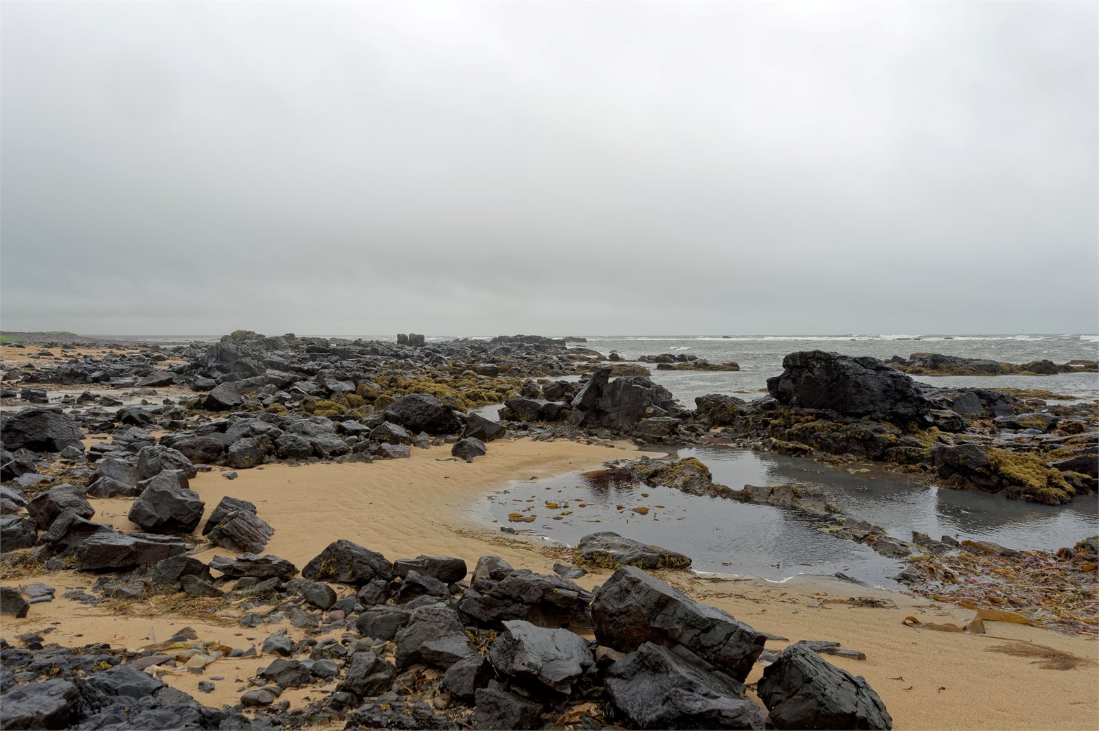 Ytri Tunga Beach, Iceland