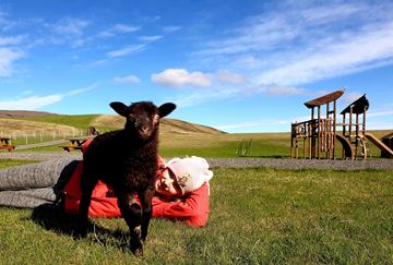 Sveitagarðurinn Farm Park