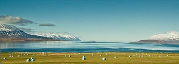 Eyjafjörður