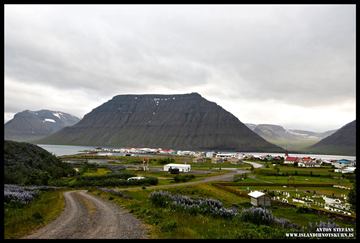 Þorfinnur