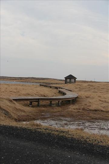 Sandgerði