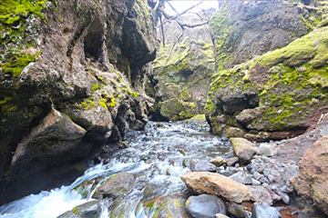 Nauthúsagil Canyon