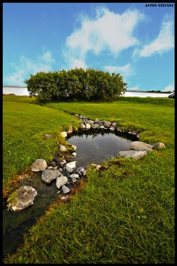 Vígðalaug