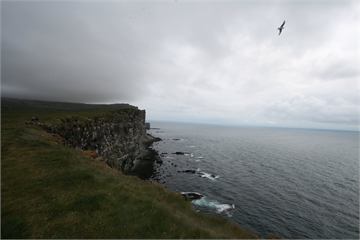 Látrabjarg - Friðland