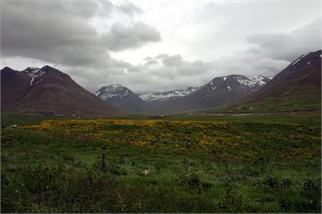 Hólar í Hjaltadal Campsite