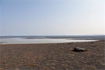 Kolkustífla