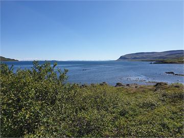 Krosslaug á Vestfjörðum