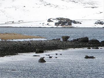 Hótel Djúpavík